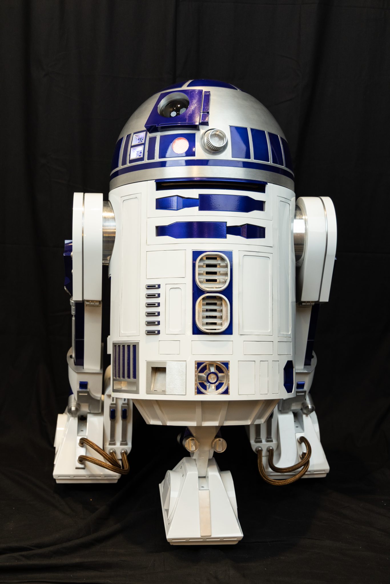Photo 185 from Studio Photos - DroidCon 2024